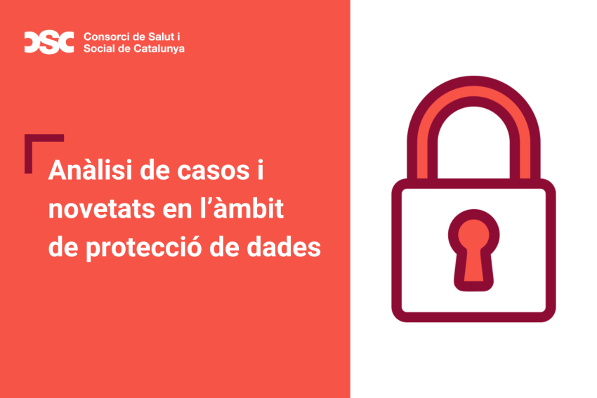 Ànalisi de casos i novetats en l’àmbit de protecció de dades