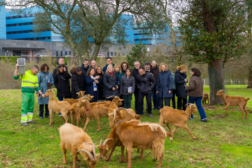 Viatge Galícia Green Team