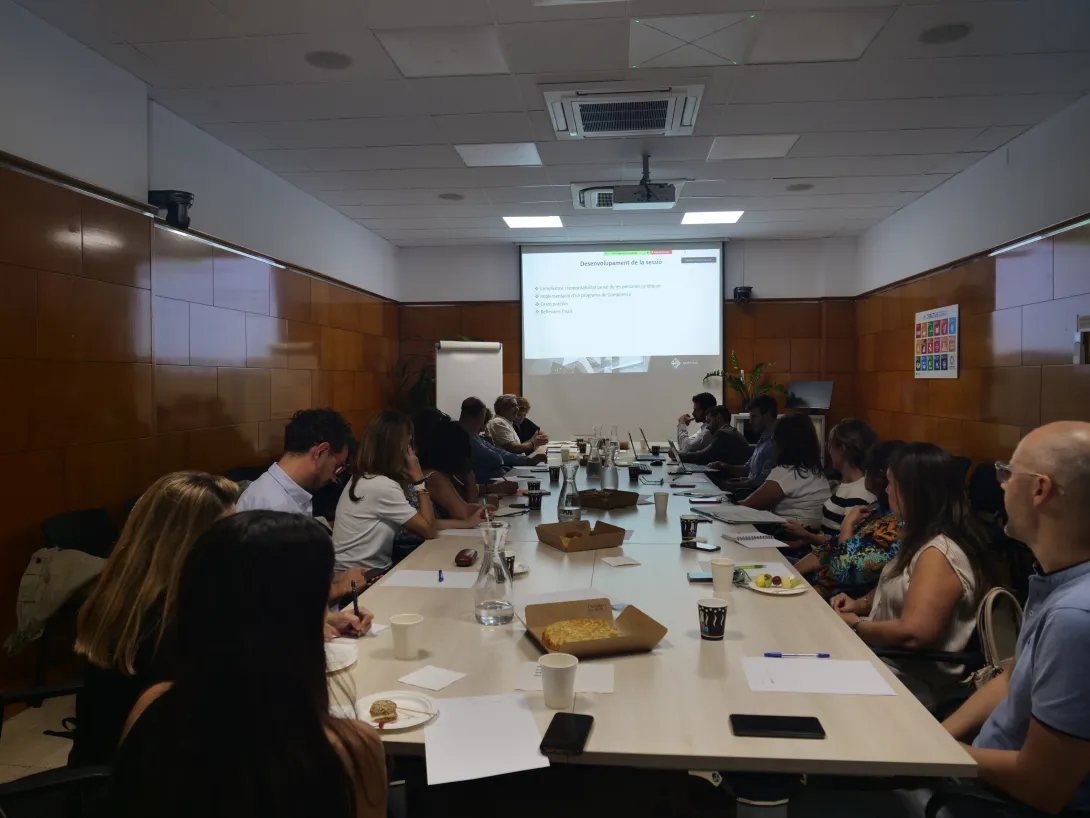 comissió economicofinancera